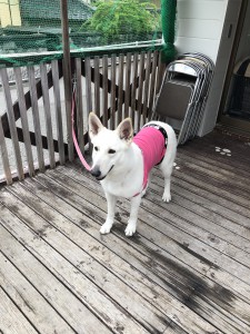 2019-04-30 001